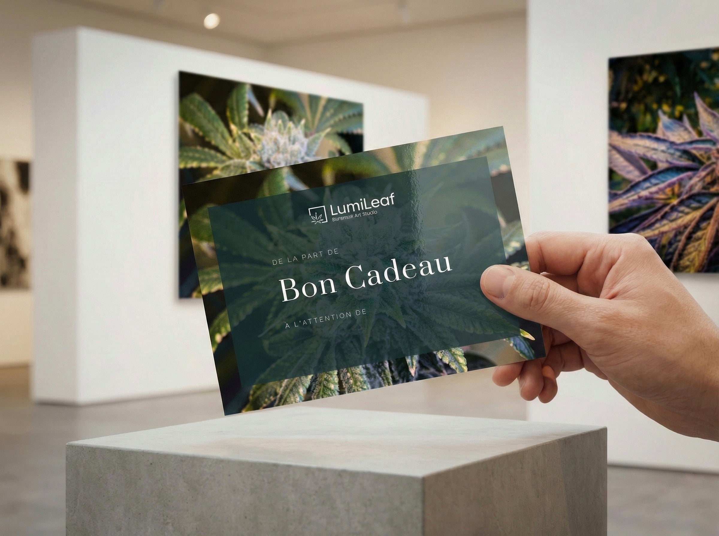 Carte Cadeaux